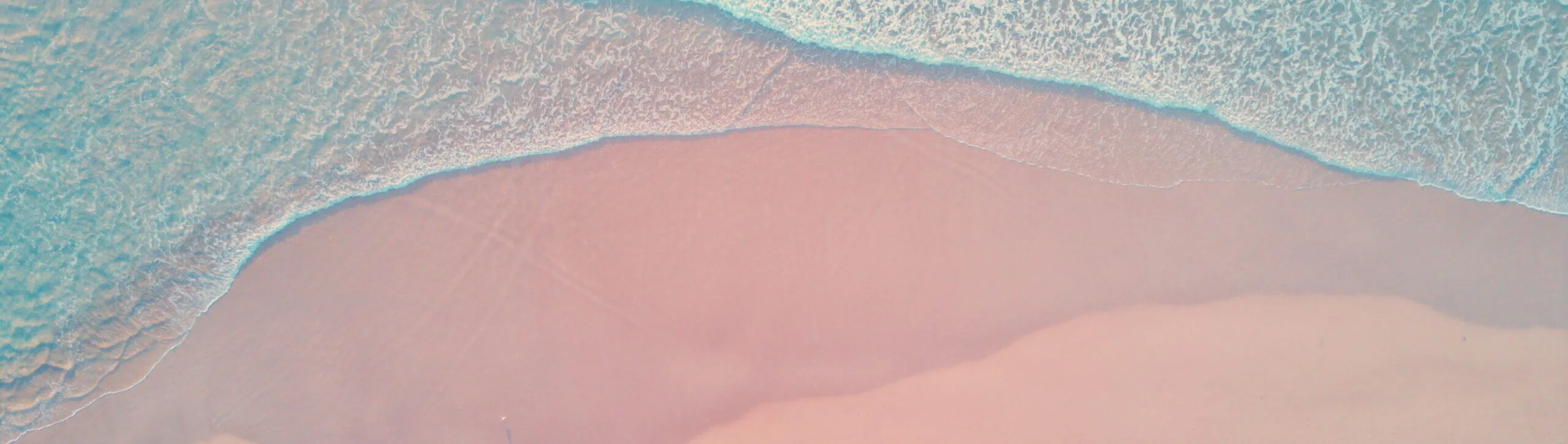 Pink Beach pink scaled e1739403003121
