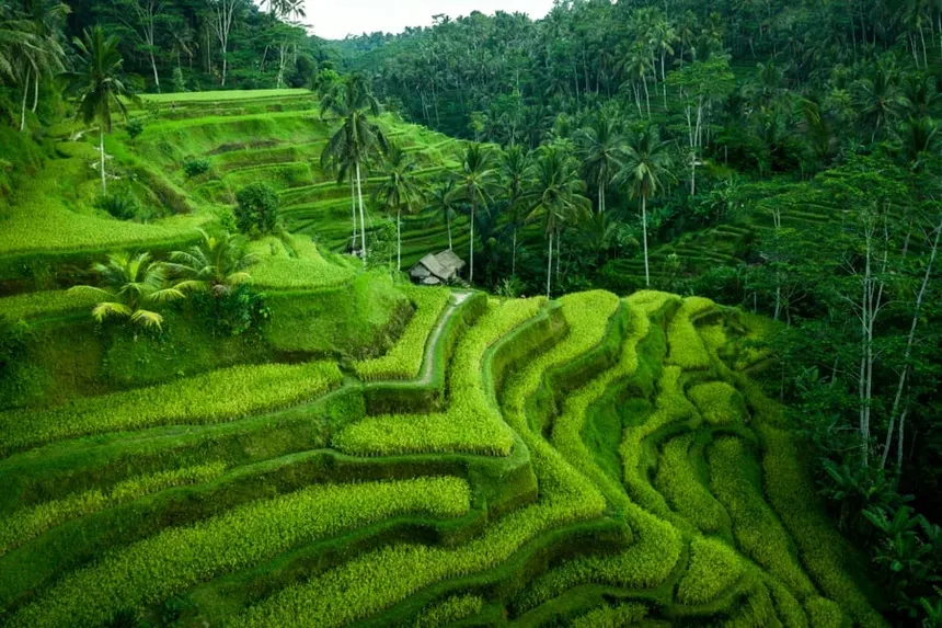 DJI 0910 900