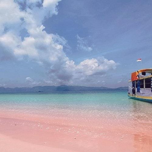Cruise in Komodo National Park for 3 Days 2 Nights (3D2N) 18 1549171021711-processed