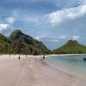 pink beach