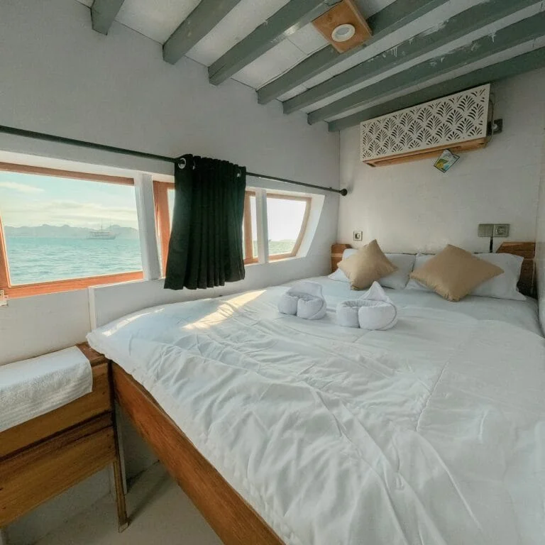 Deluxe Main Deck 1