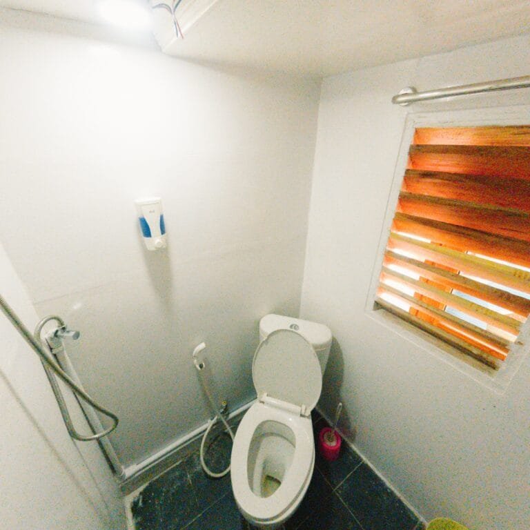 Solo traveler trip toilet