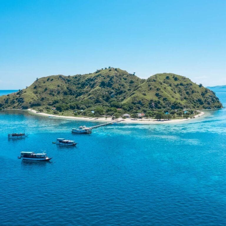 Cruise in Komodo National Park for 3 Days 2 Nights (3D2N) 10 img570