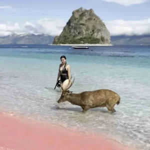 pink beach
