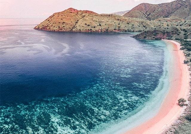 Our Program 24 pink beach