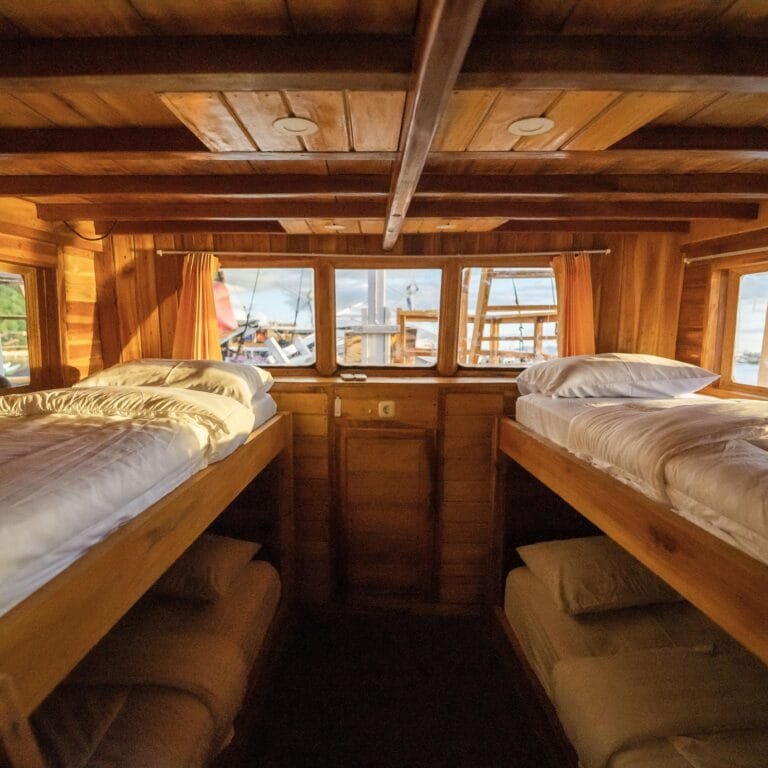 Exemple of Solo Traveler Trip shared cabin